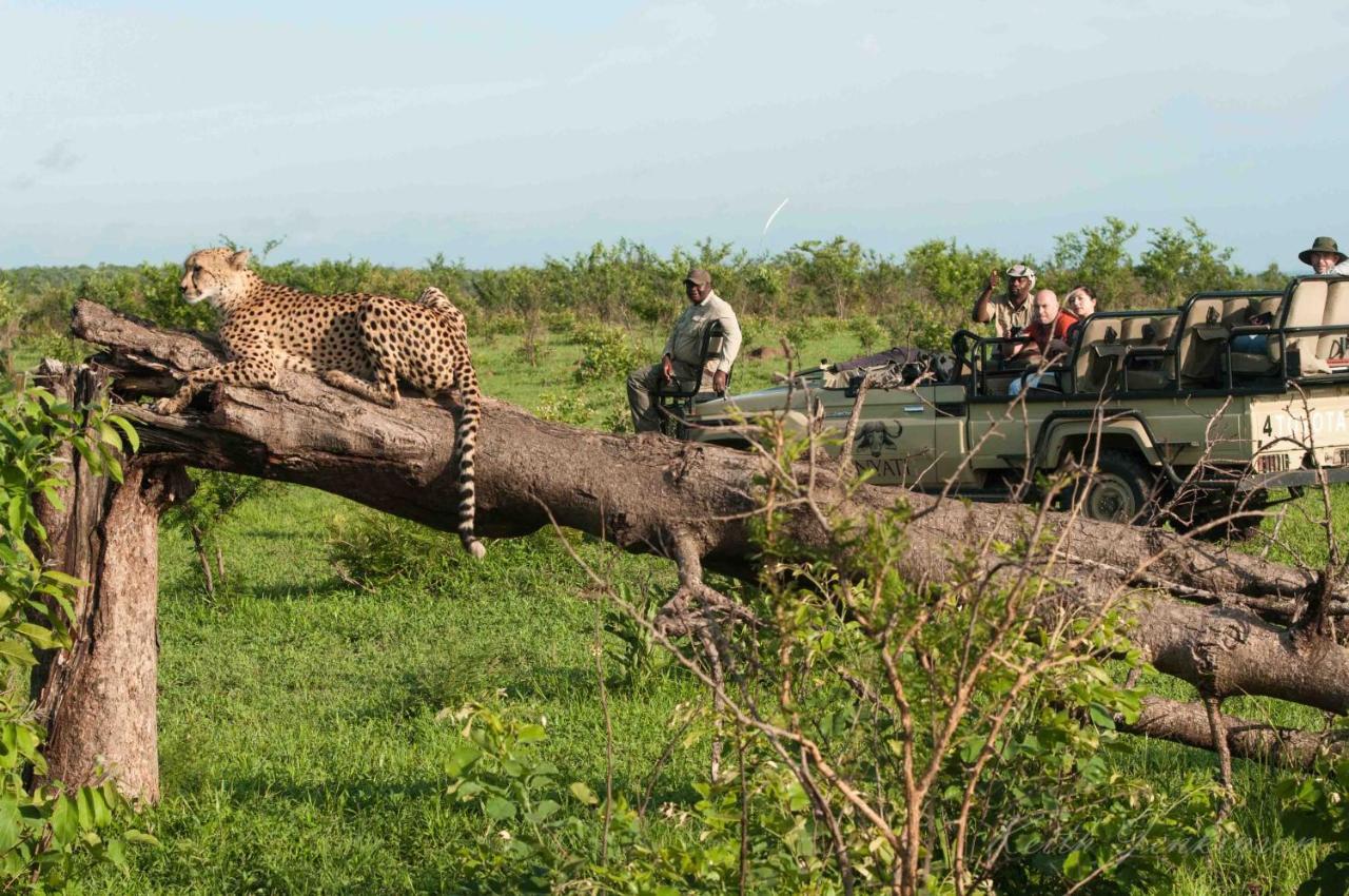 Inyati Game Lodge Reserva de caza Sabi Sand Exterior foto