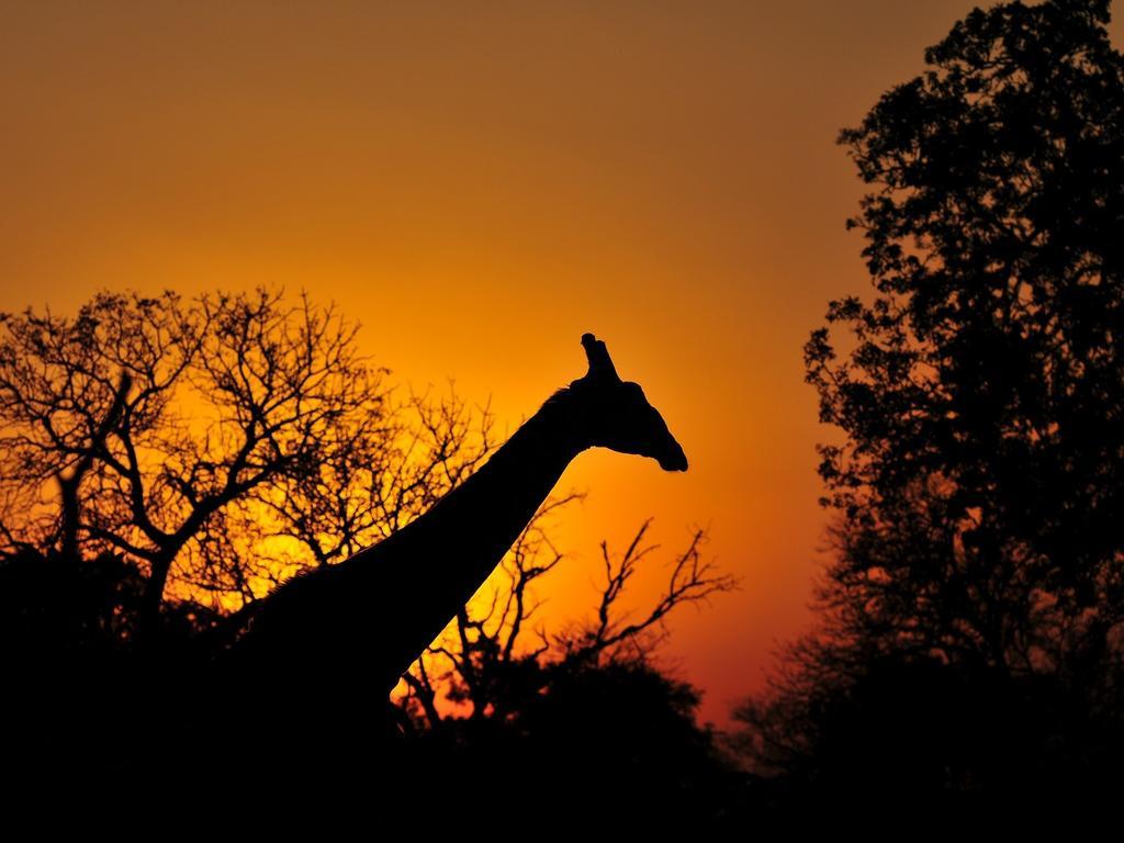 Inyati Game Lodge Reserva de caza Sabi Sand Exterior foto