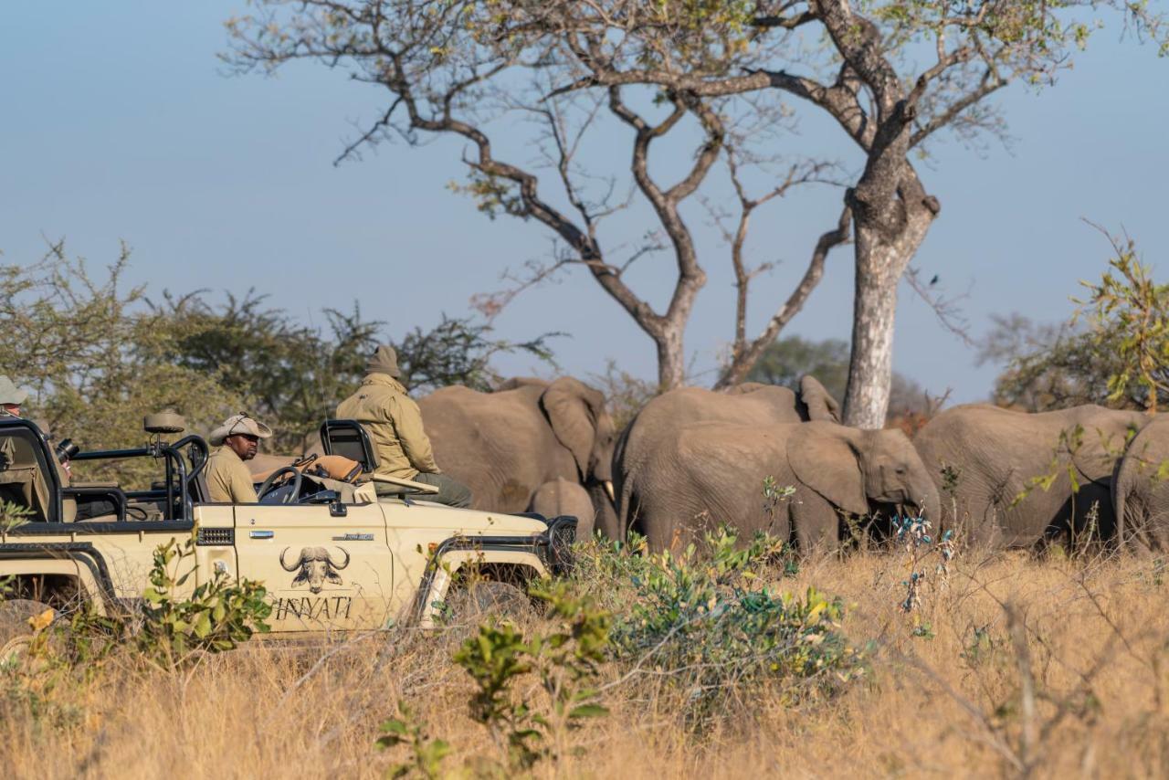 Inyati Game Lodge Reserva de caza Sabi Sand Exterior foto
